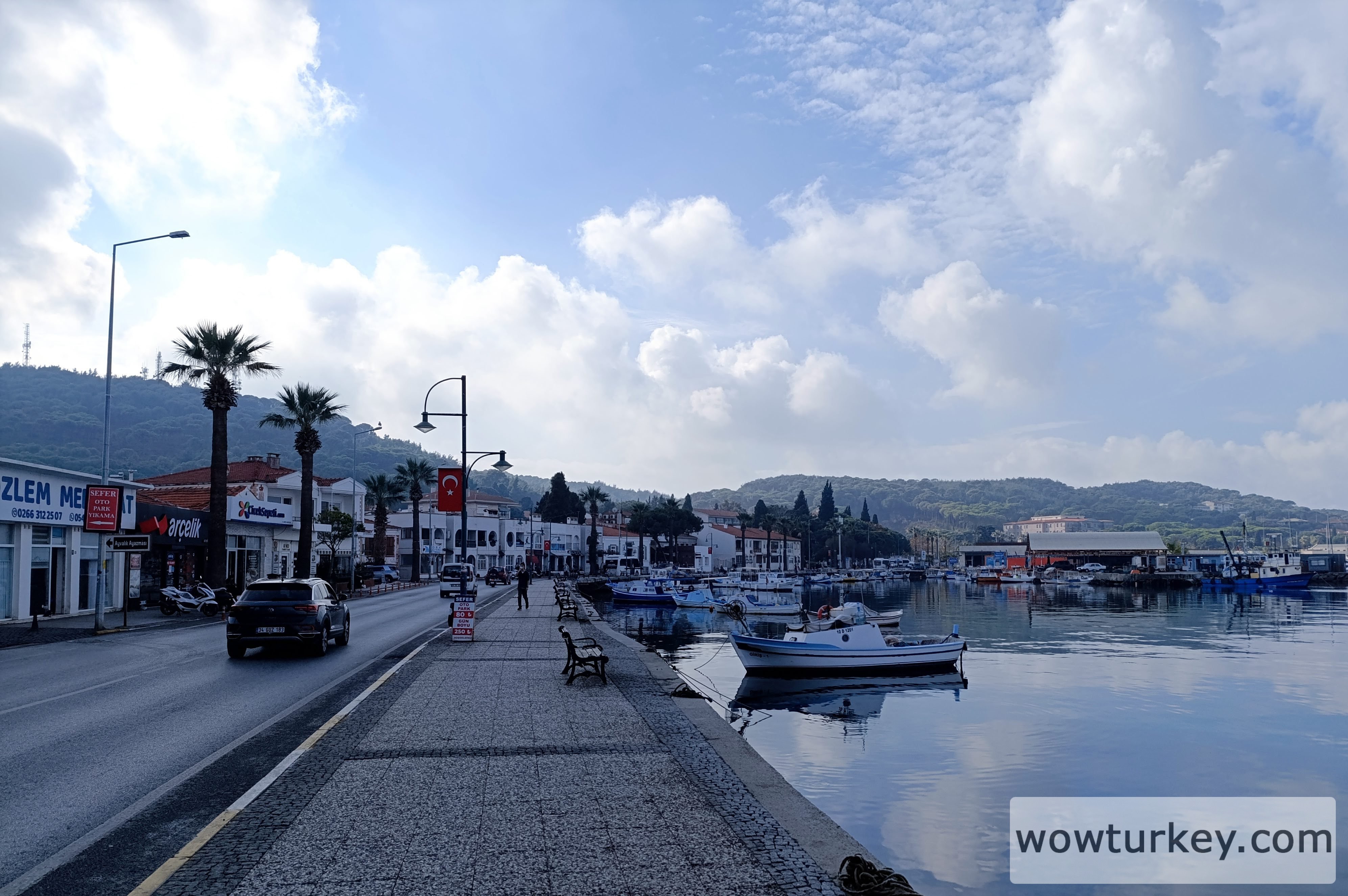 IMG_20241115_120329 (1).jpg