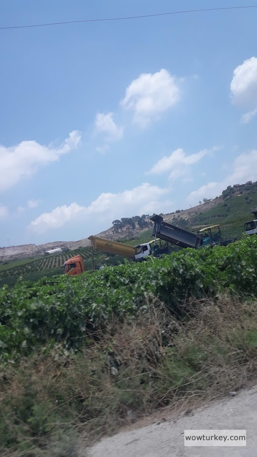 TAG Otoyolu Mersin OSB Bağlantı Kavşağı İnşaatı // Foto: 2022