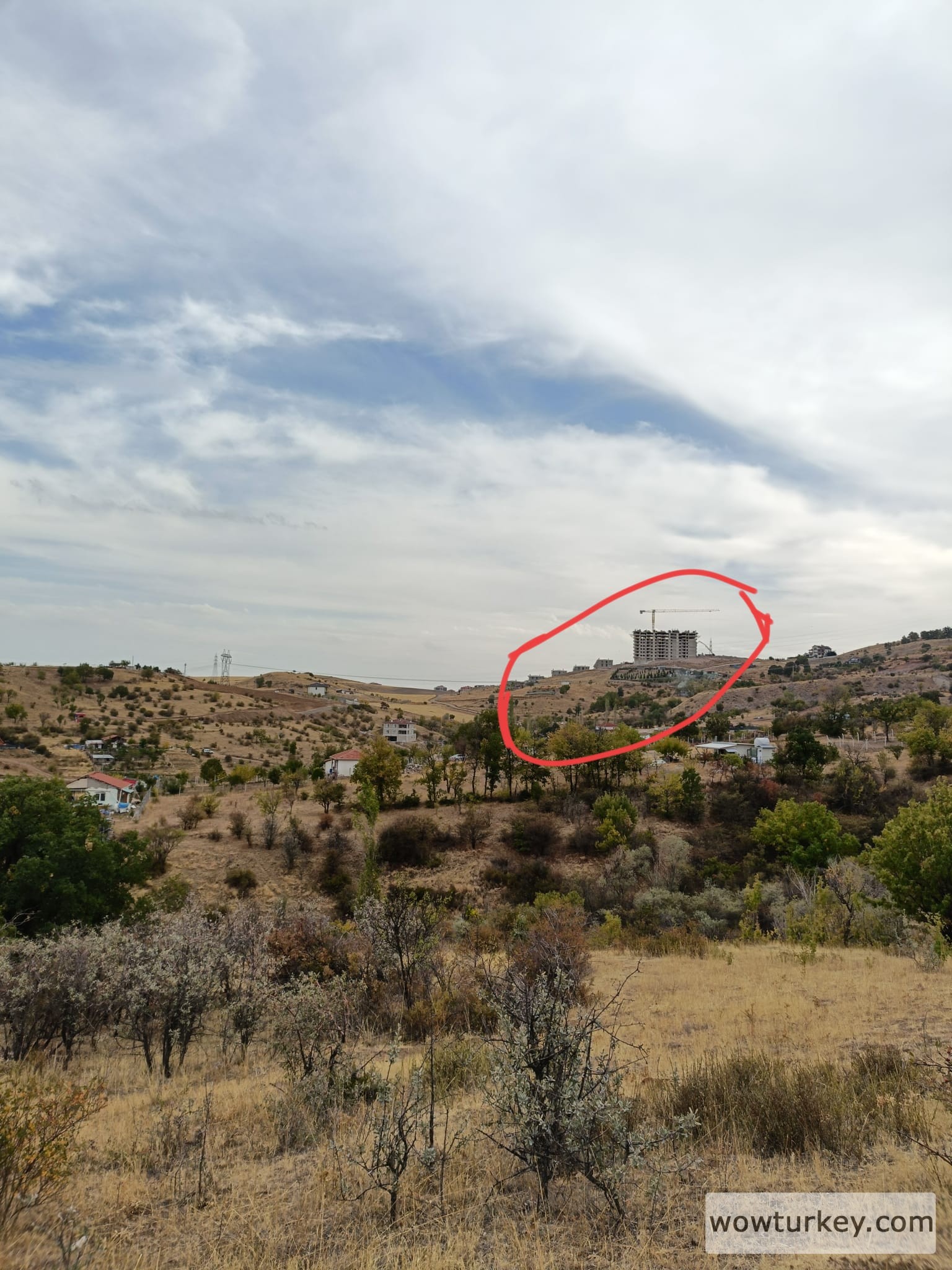 WhatsApp Image 2025-09-29 at 12.46.22.jpeg