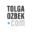 tolgaozbek.com