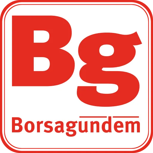 www.borsagundem.com.tr