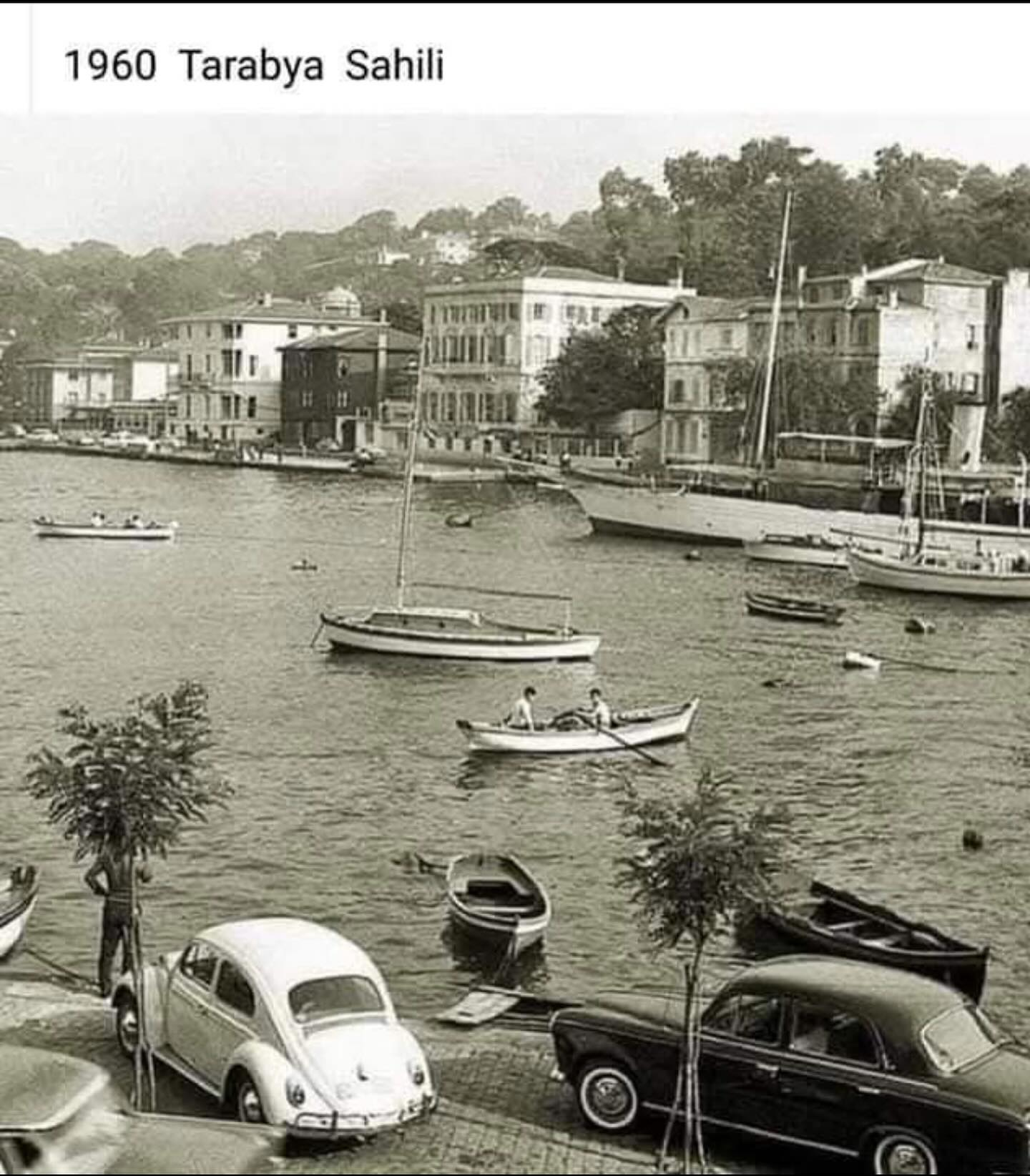 1755543730766.png