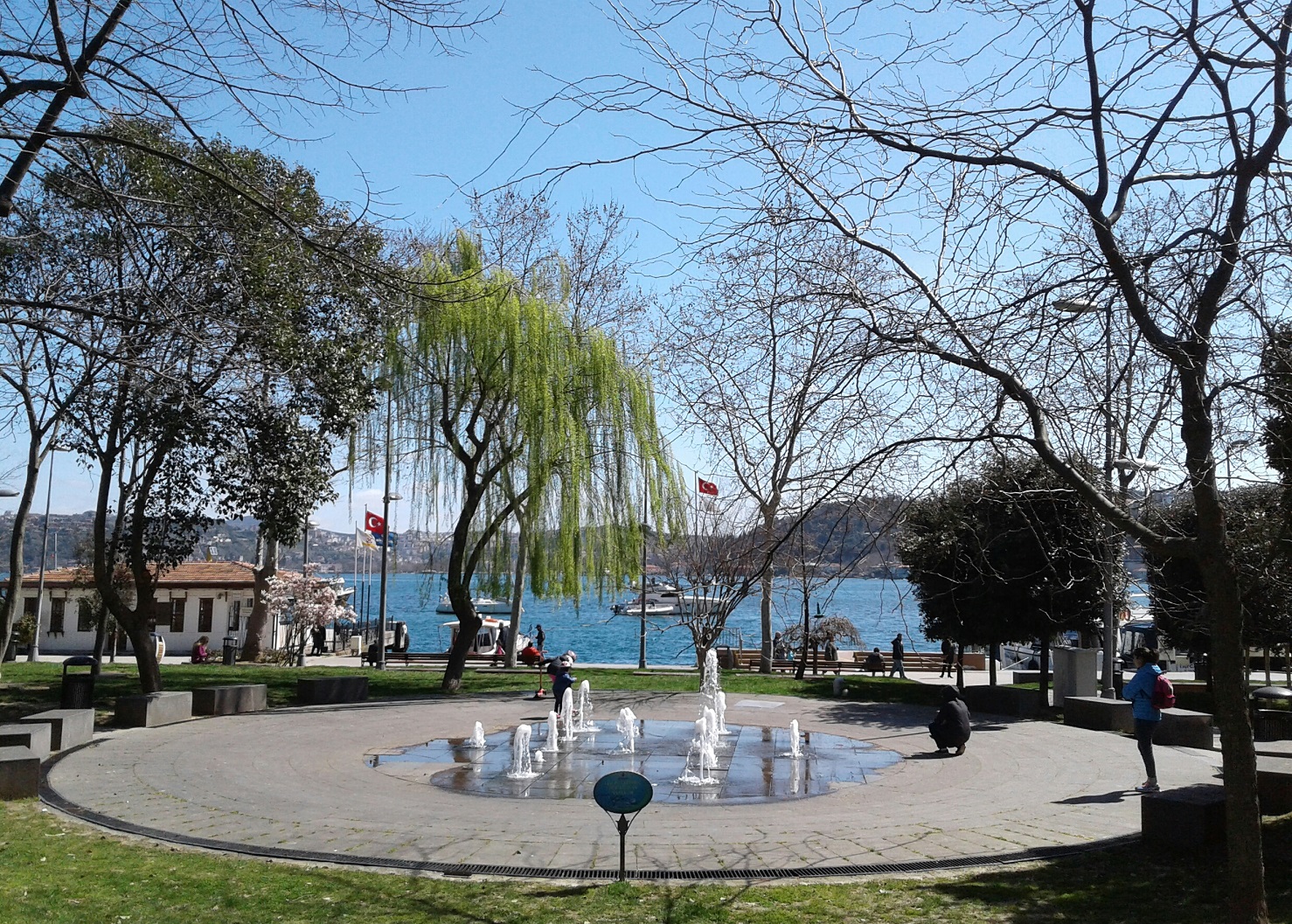 20170401_115415-1.jpg