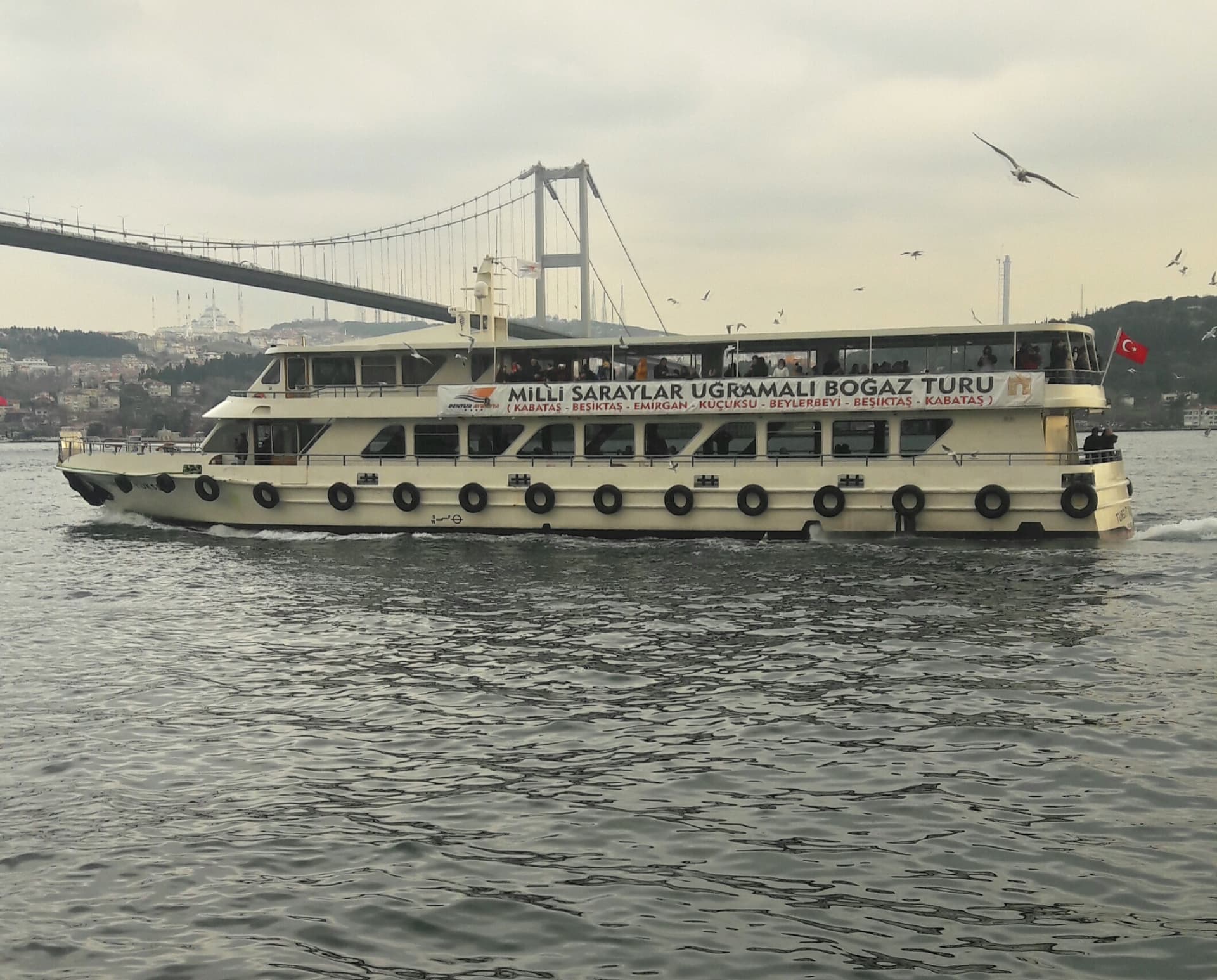 20180105_221158.jpg