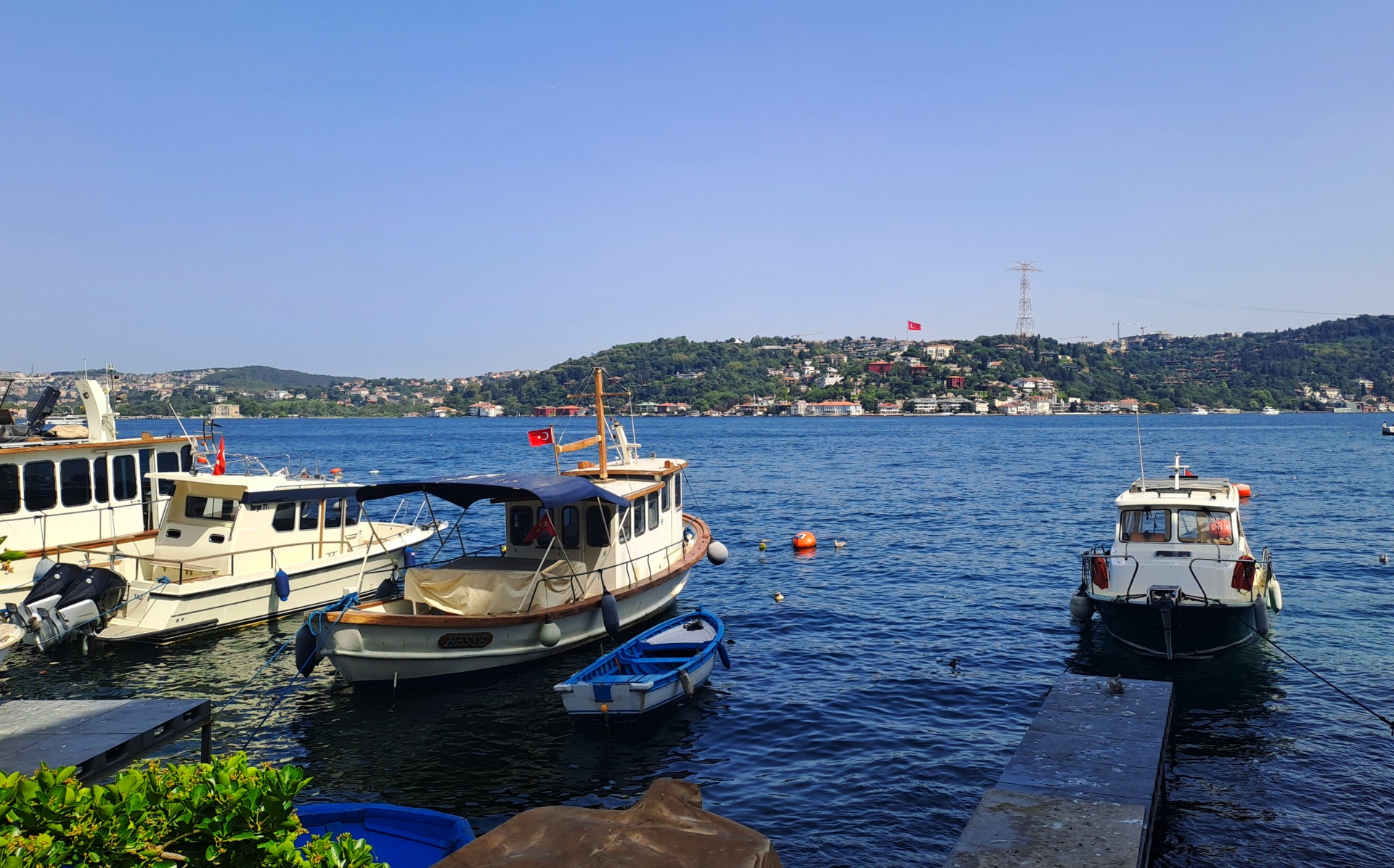 20250728_154840.jpg