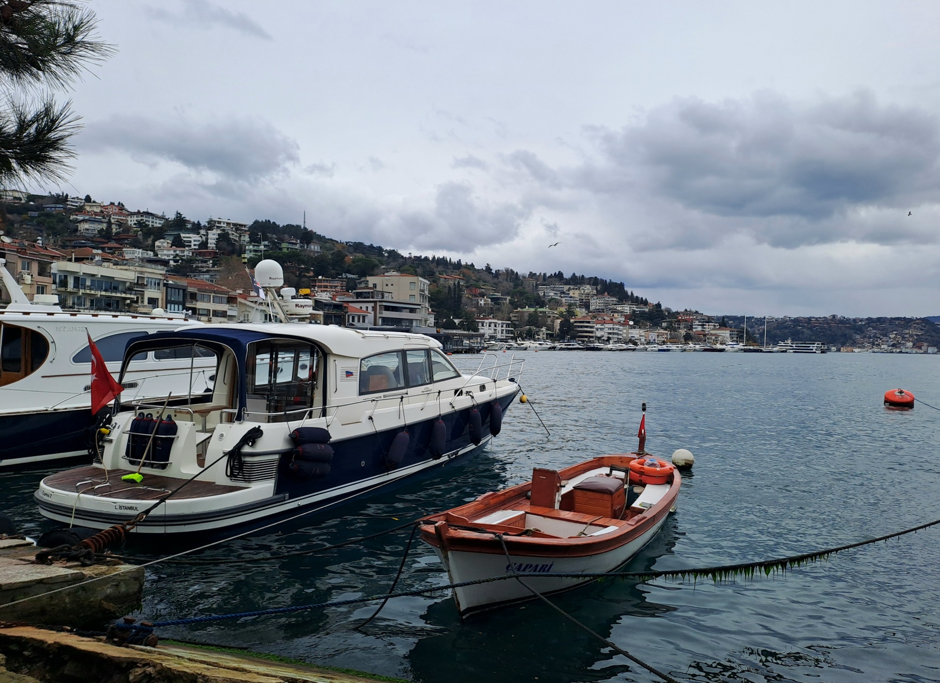 20251231_130659 (1).jpg