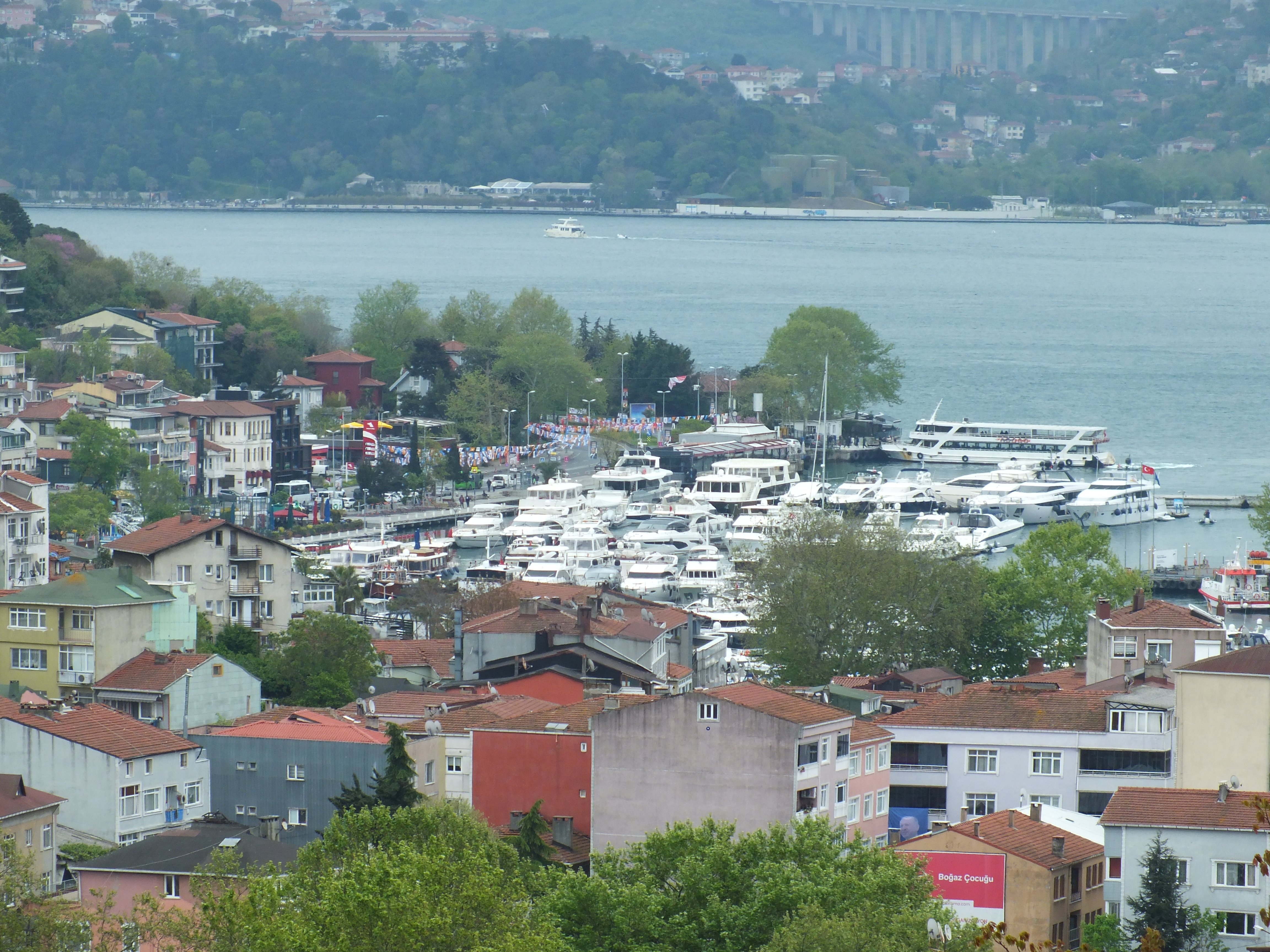 DSCF5226.JPG
