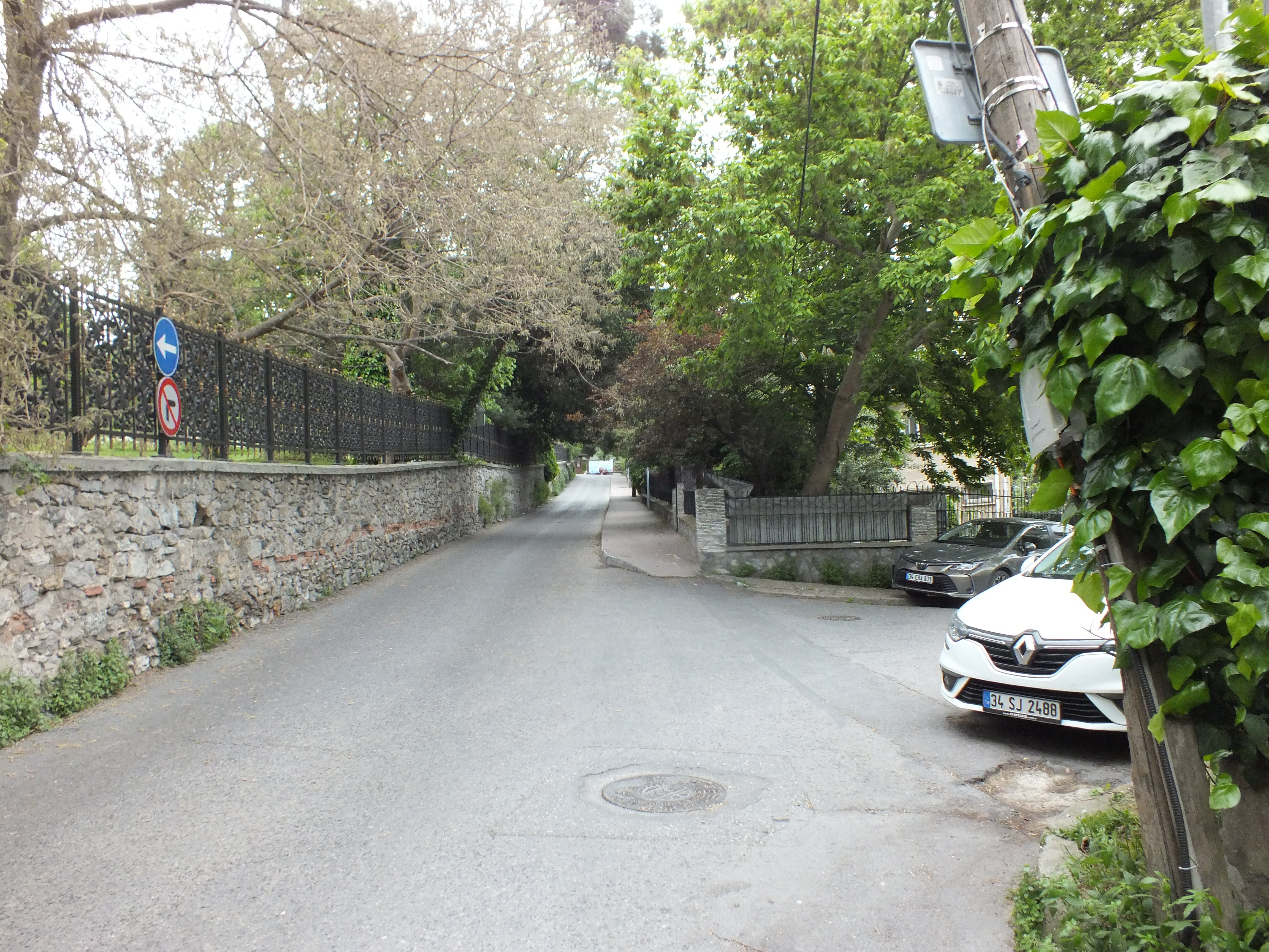 DSCF5433.JPG