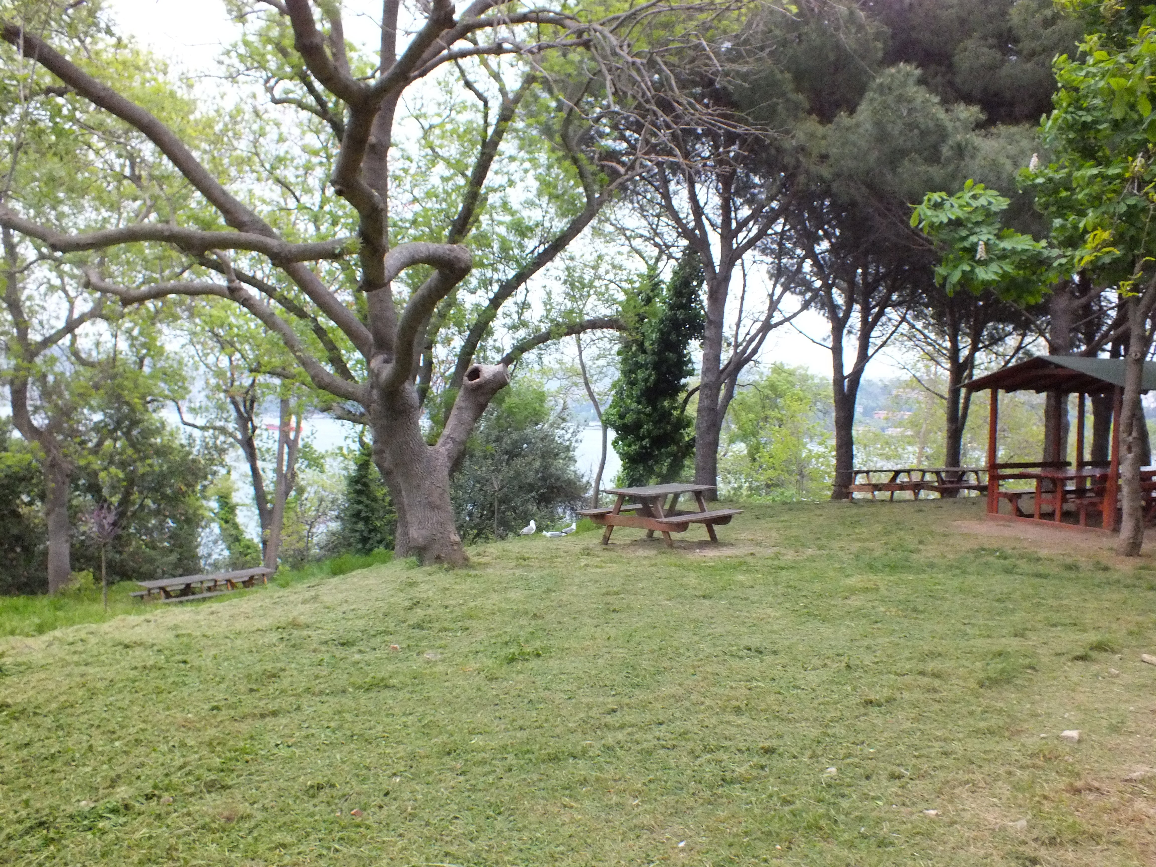 DSCF5448.JPG