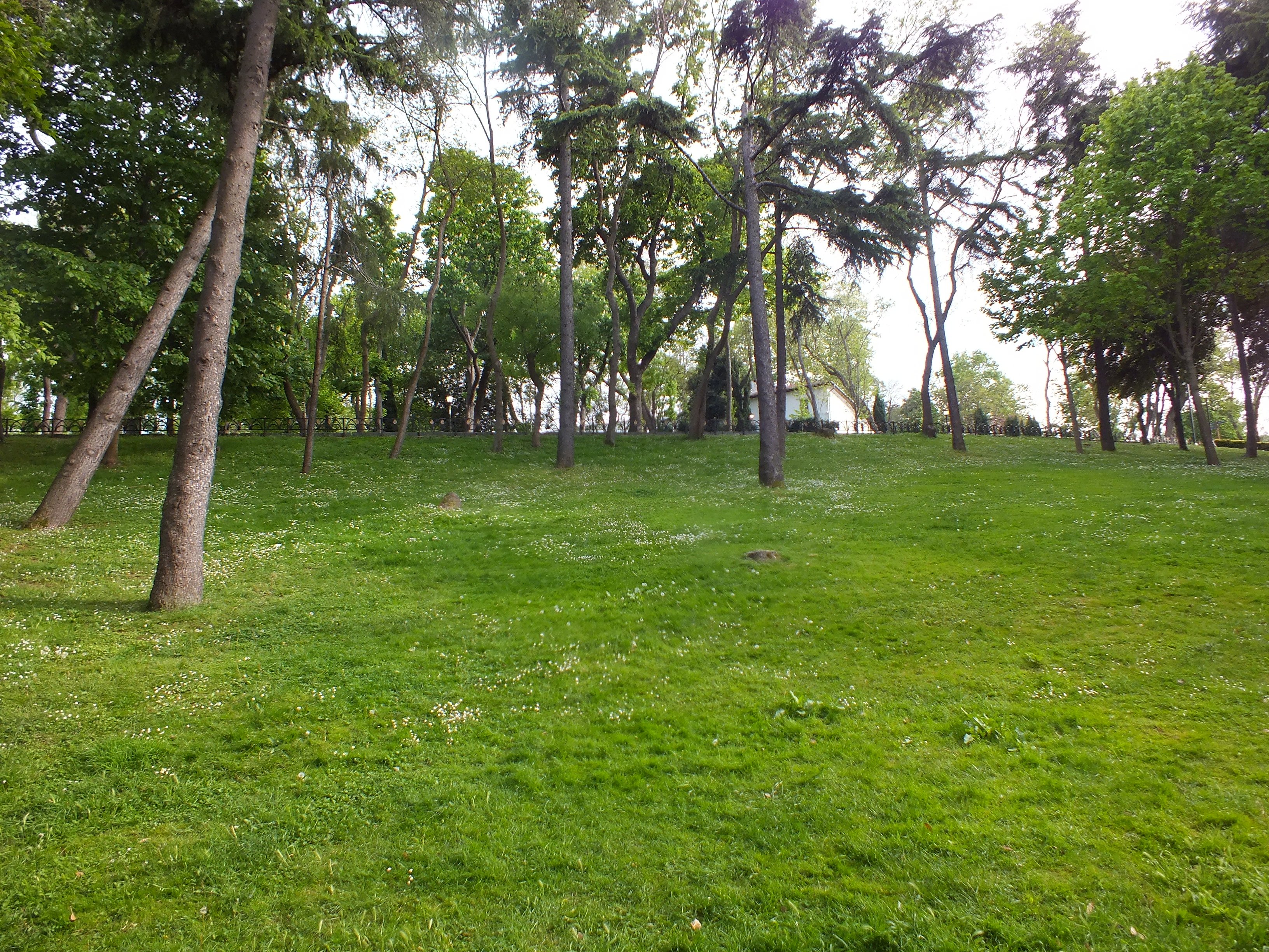 DSCF5512.JPG