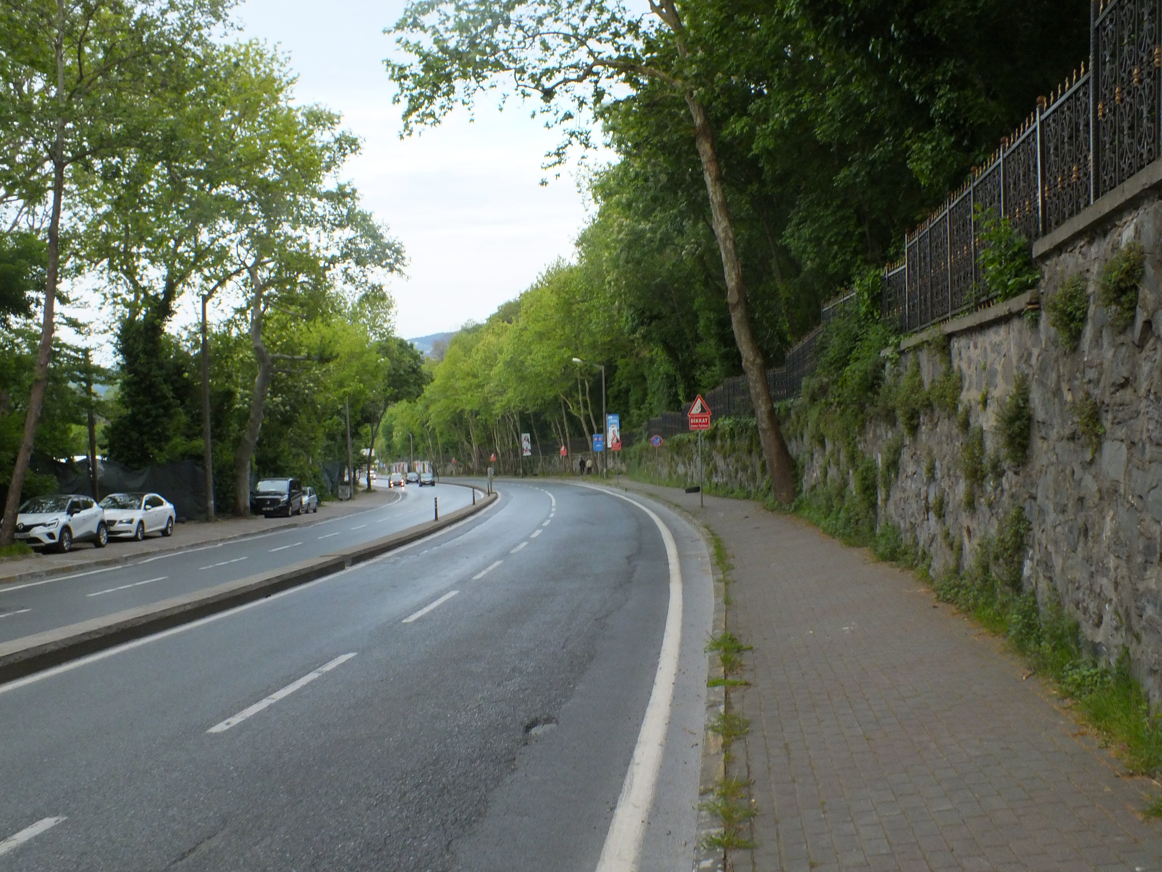 DSCF5517.JPG