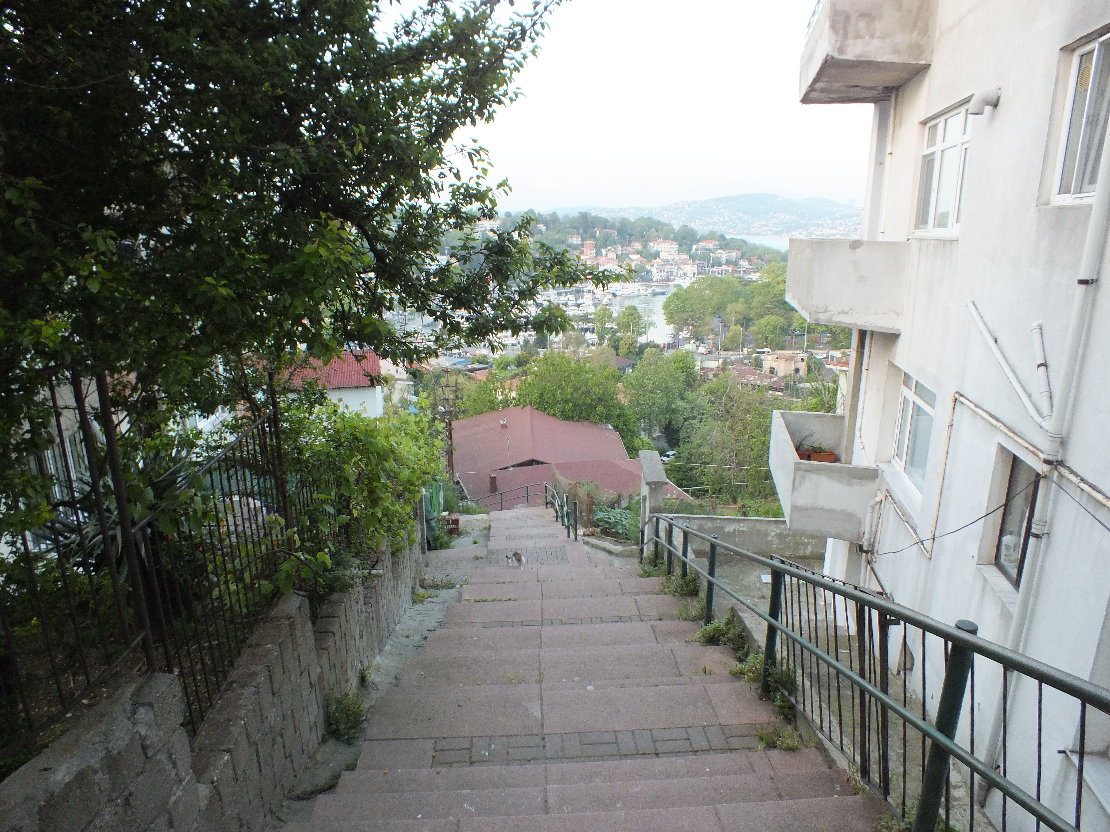 DSCF5631.JPG