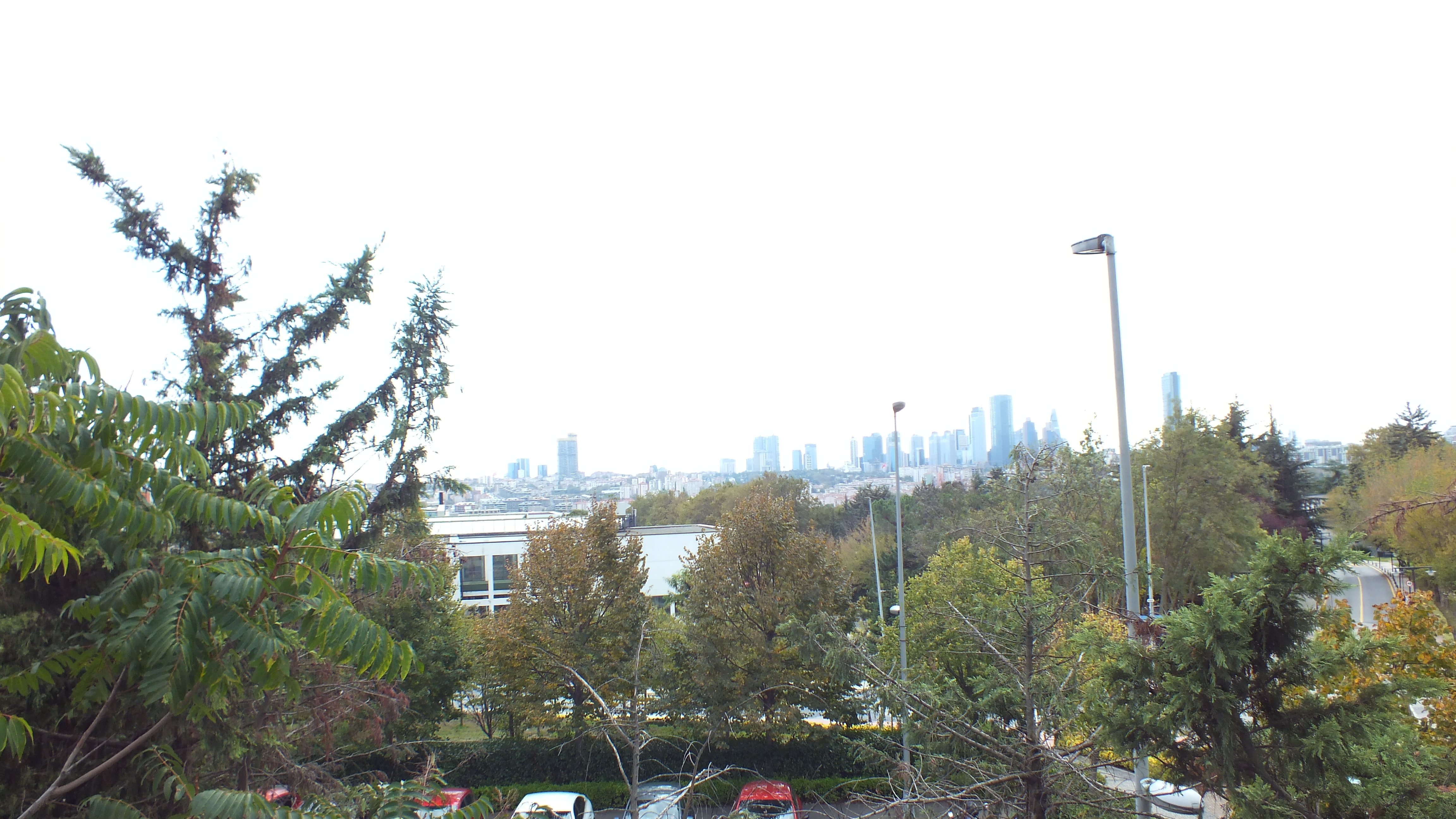 DSCF6094.JPG
