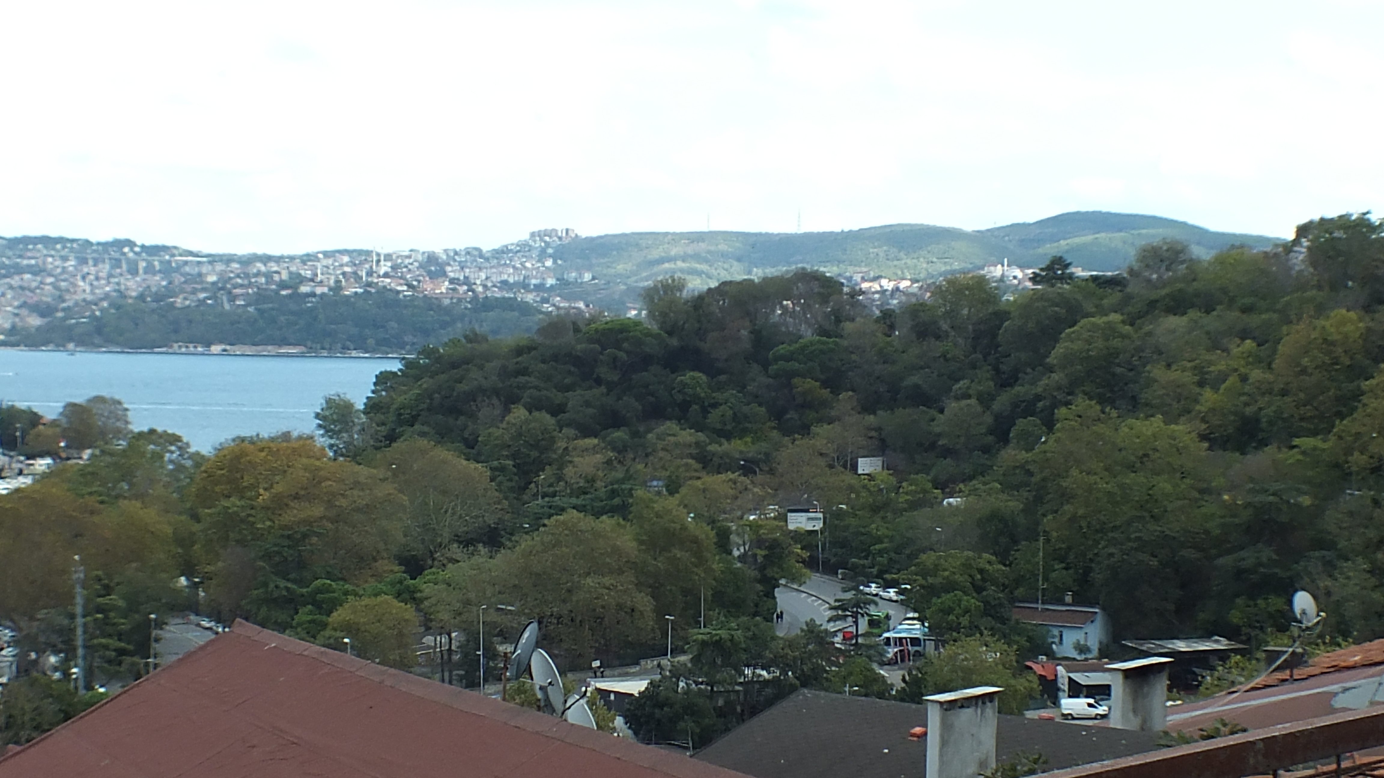 DSCF6123.JPG