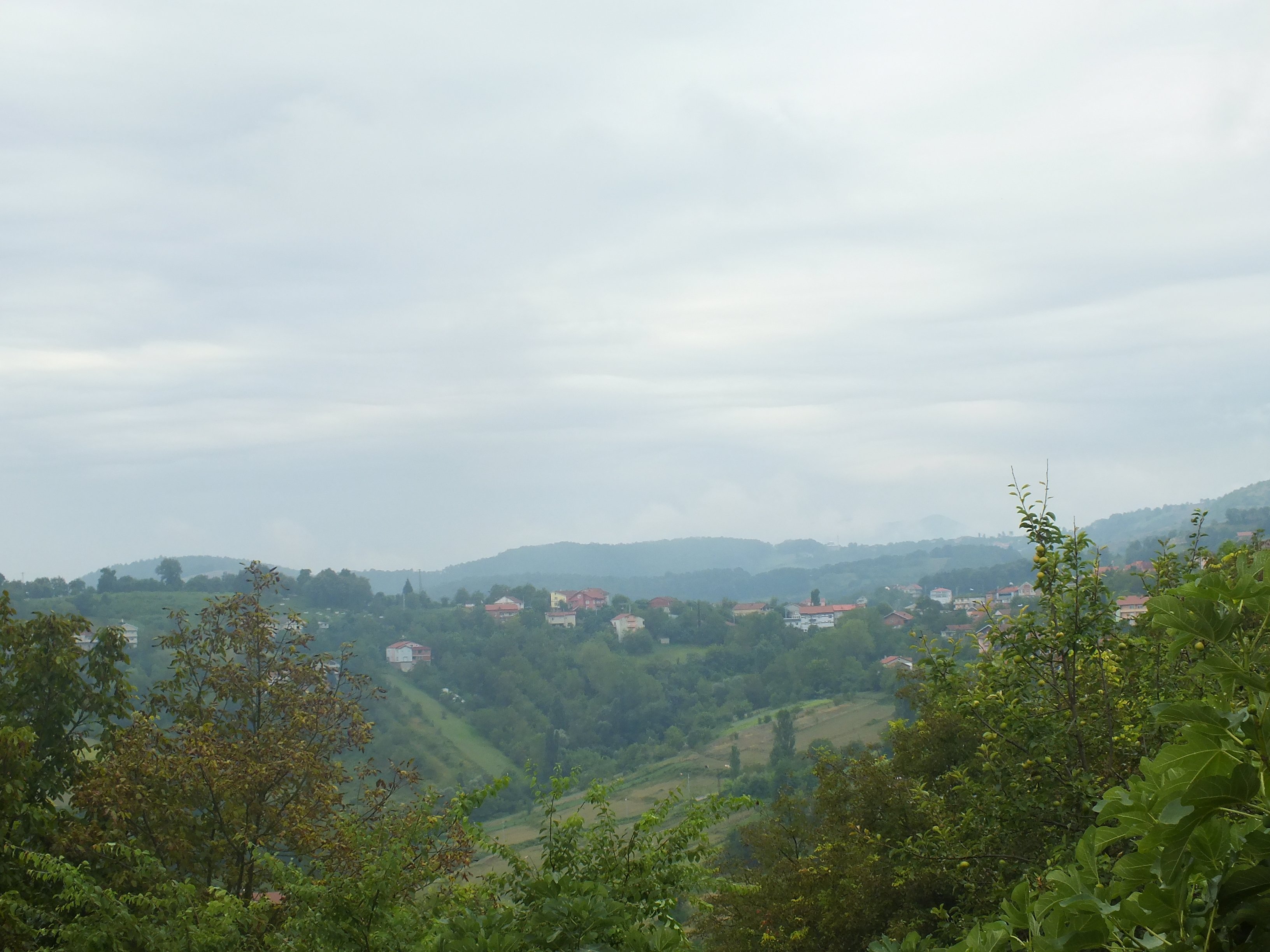 DSCF6816.JPG