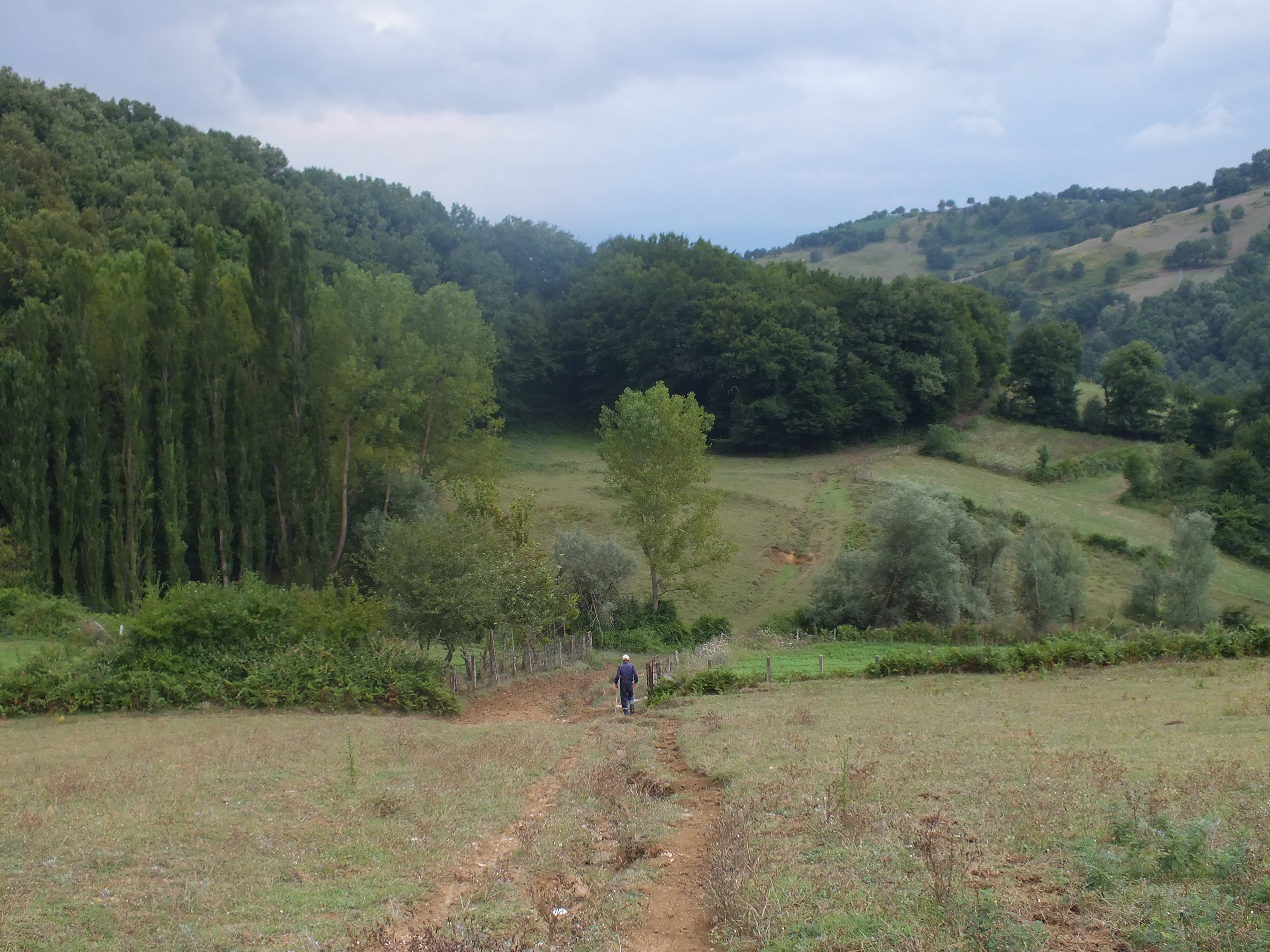 DSCF6822.JPG