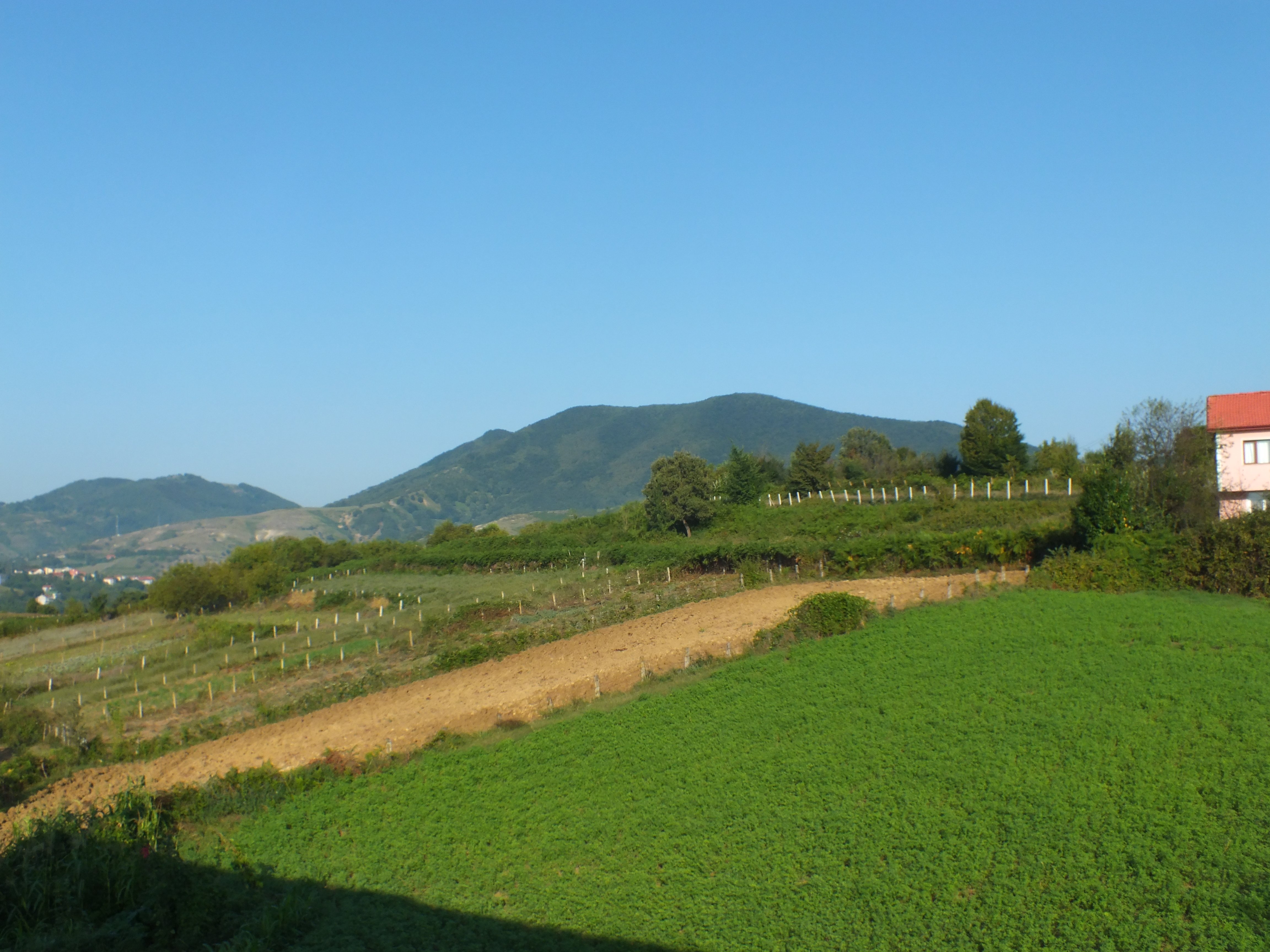 DSCF6908.JPG