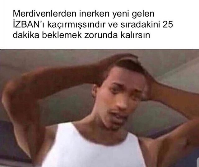hfgyz1q7rw641.jpg