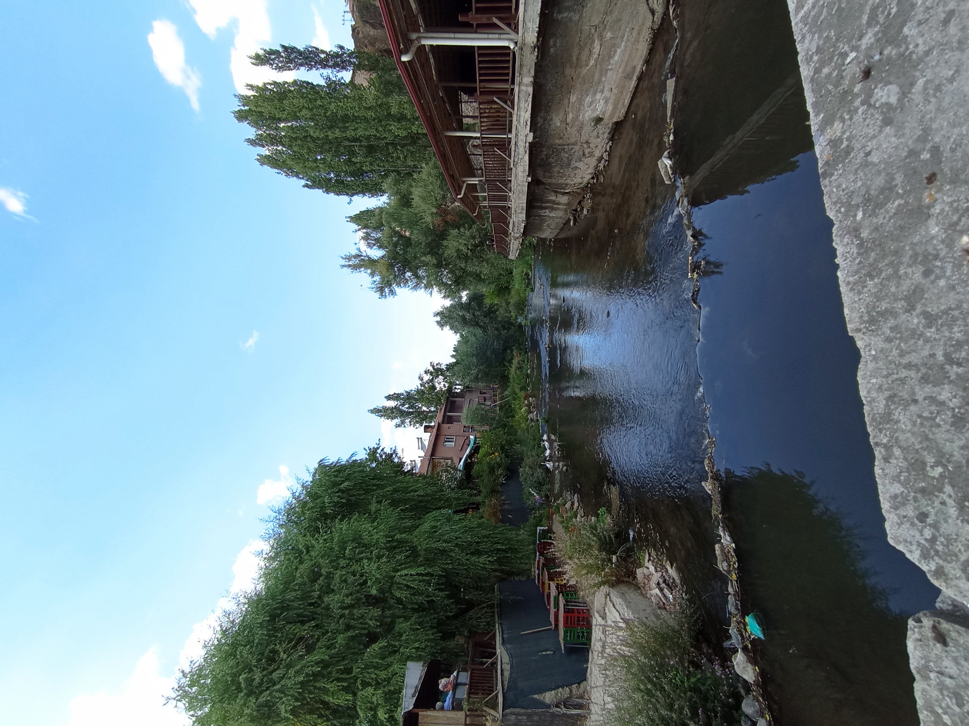 IMG_20250820_160621.jpg