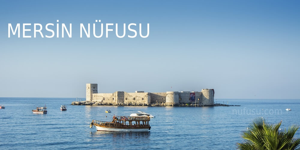 www.nufusu.com