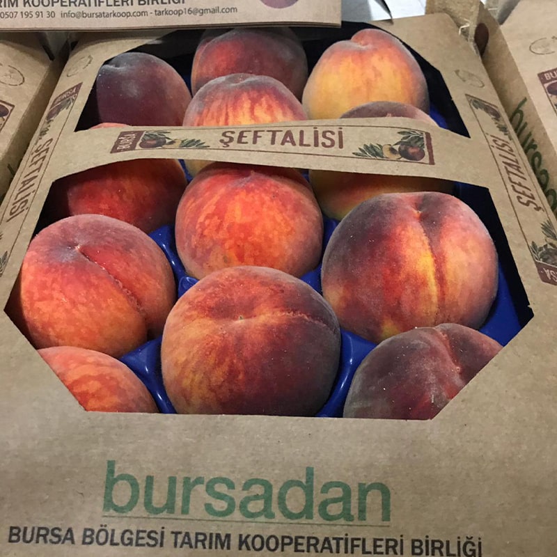 www.bursatarkoop.com